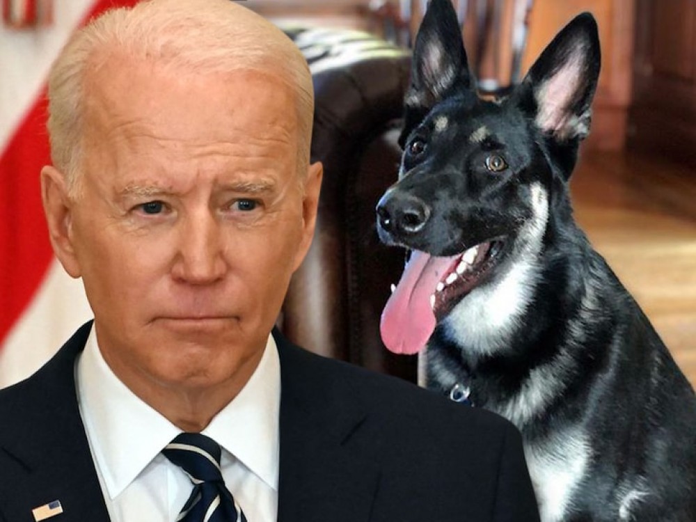 Câinele lui Joe Biden a mușcat din nou la Casa Albă